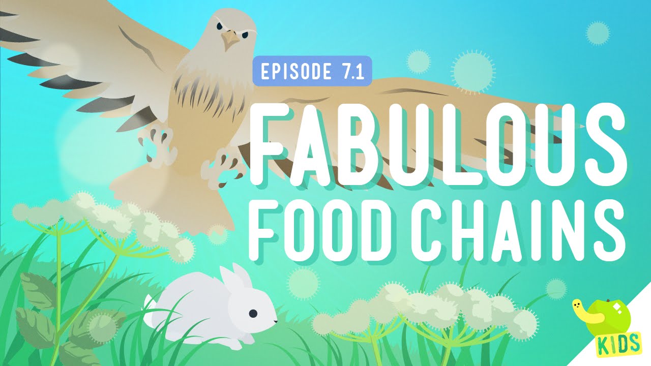 Fabulous Food Chains: Crash Course Kids #7.1
