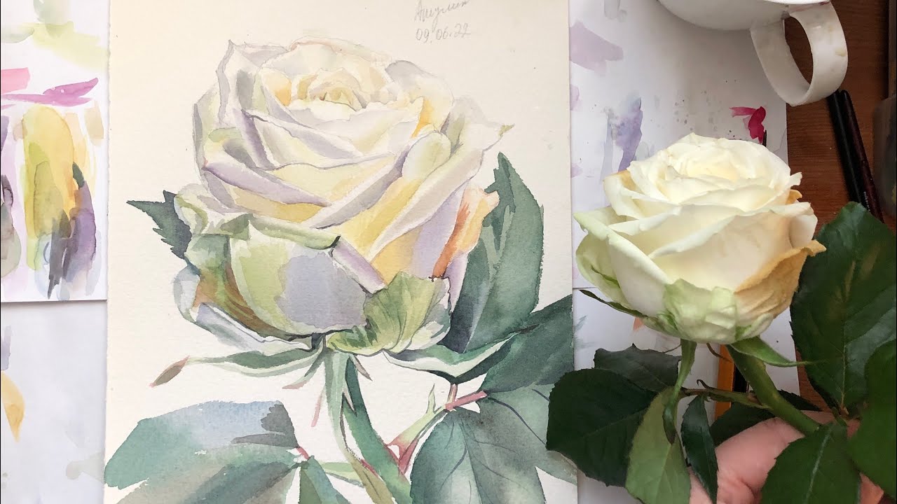 Роза акварелью 78 из 100 процесс рисования