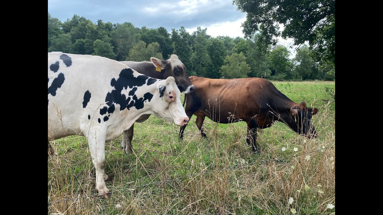 Michigan Farms and Agriculture