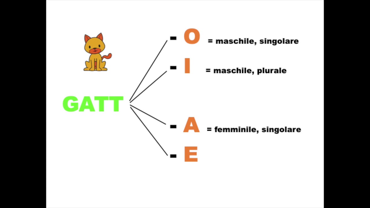 La struttura del nome  radice e desinenza