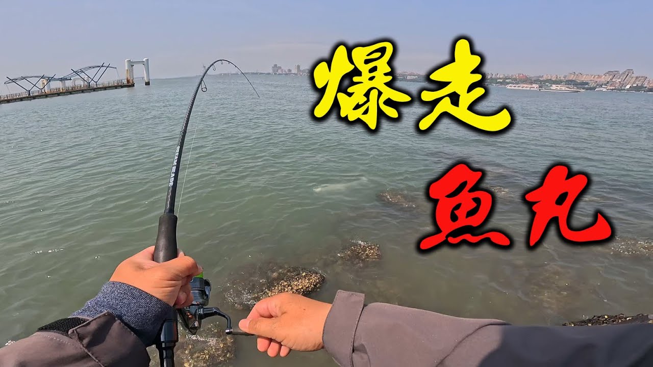 八里渡船頭，爆走魚丸