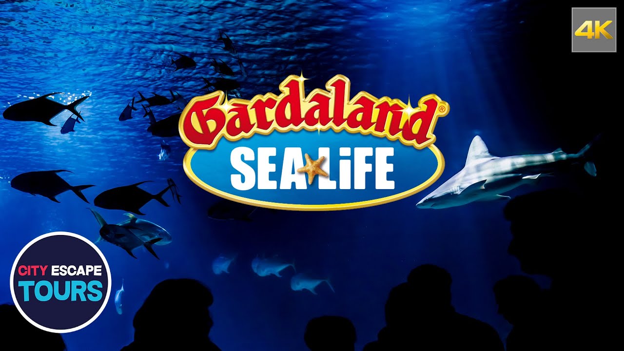 Aquarium Sea Life POV Gardaland 2024
