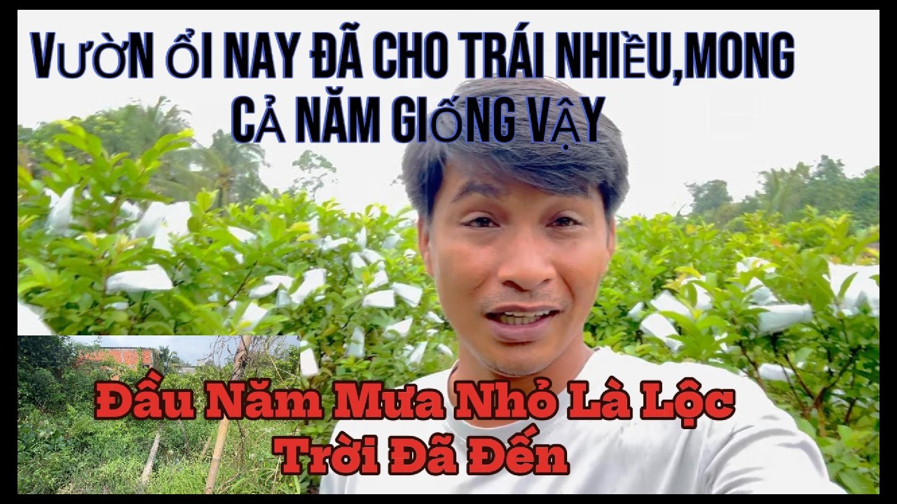 ĂN TẾT xong trời mưa chắc được ông trời ban cho cái lộc đây#lamvanthua official#
