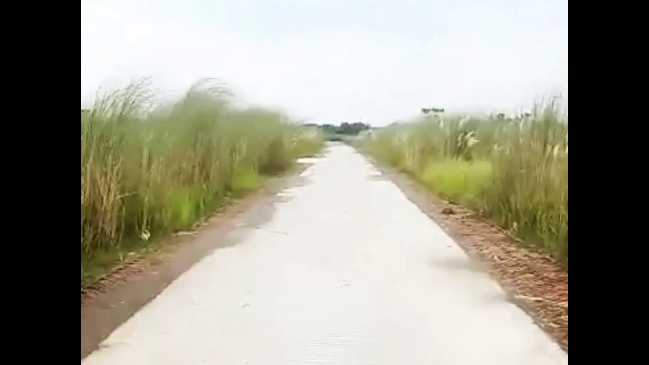 New road to visit in Bangladesh || Beautiful Bangladesh || Amulia Model Town road ||