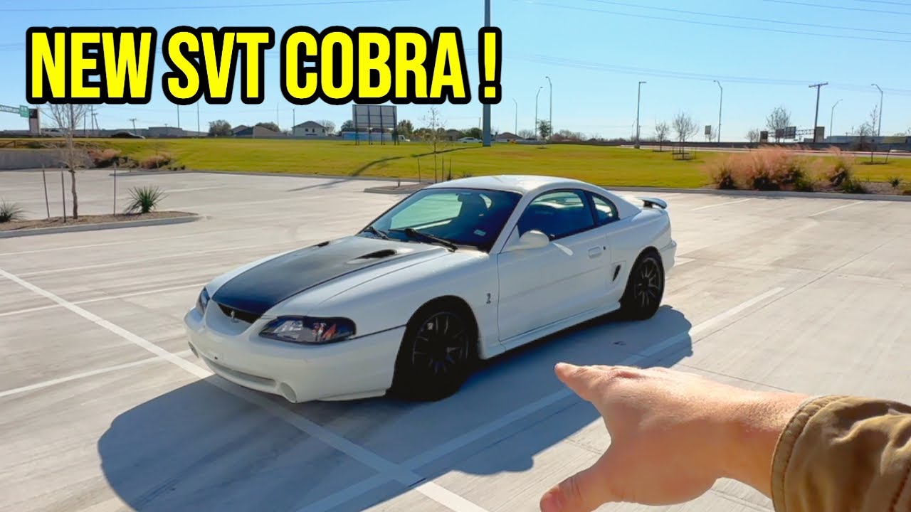 I BOUGHT A 1996 SVT COBRA!