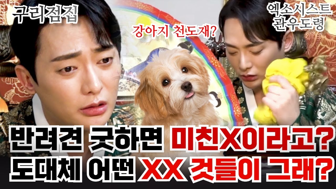 (관우도령) 강아지 천도재?! 미친년이라 욕하실건가요? #구리점집 #유명한점집 #용한점집 #신점