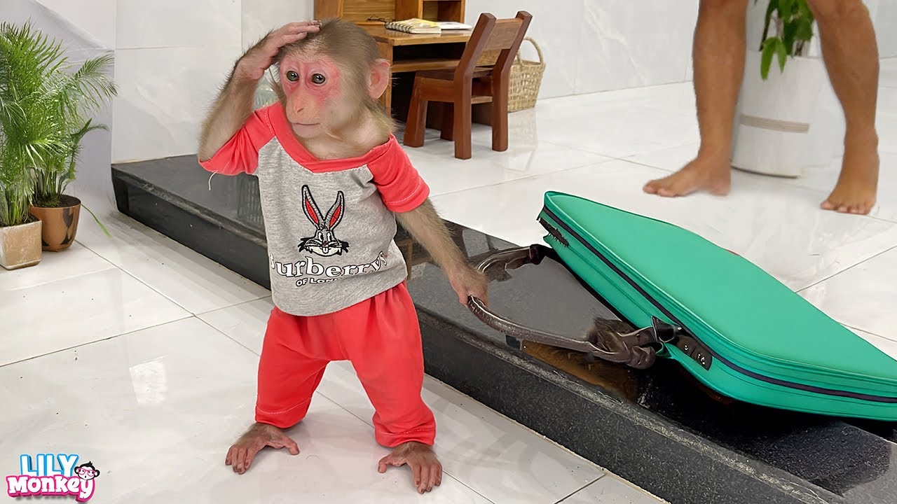 Lily did this when she didn't want her dad to go to work