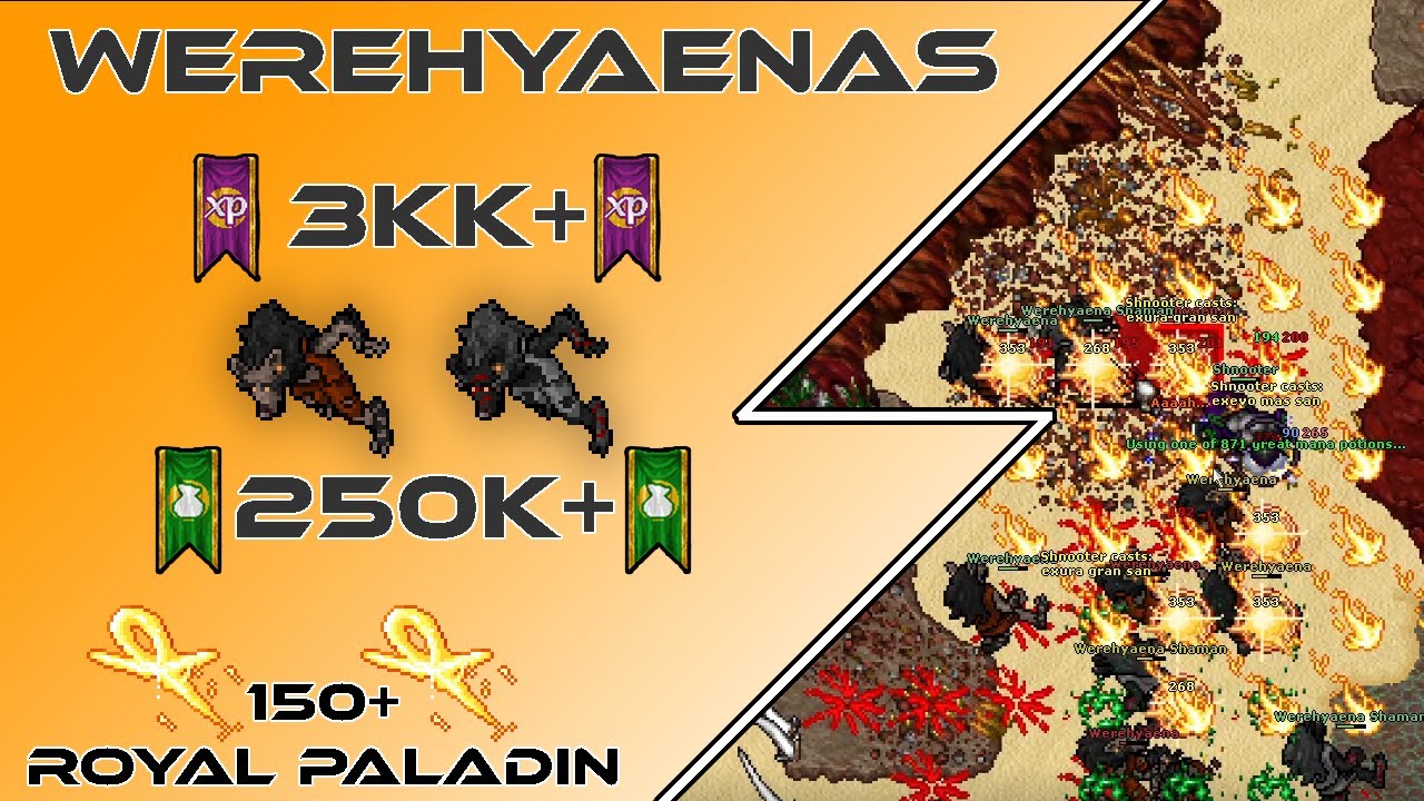 [Tibia Hunting Guide] 150+ RP - Werehyaenas