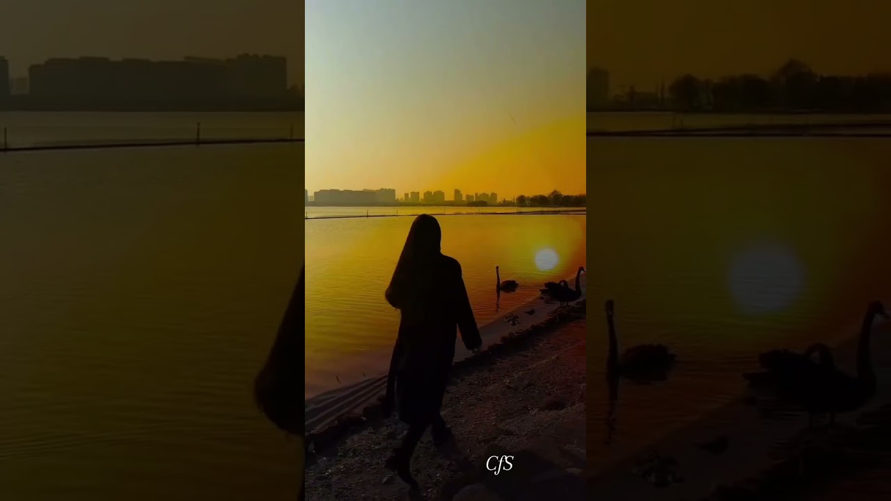 ❤️‍🔥🔥Nimeni nu știe focul meu❤️‍🔥🔥