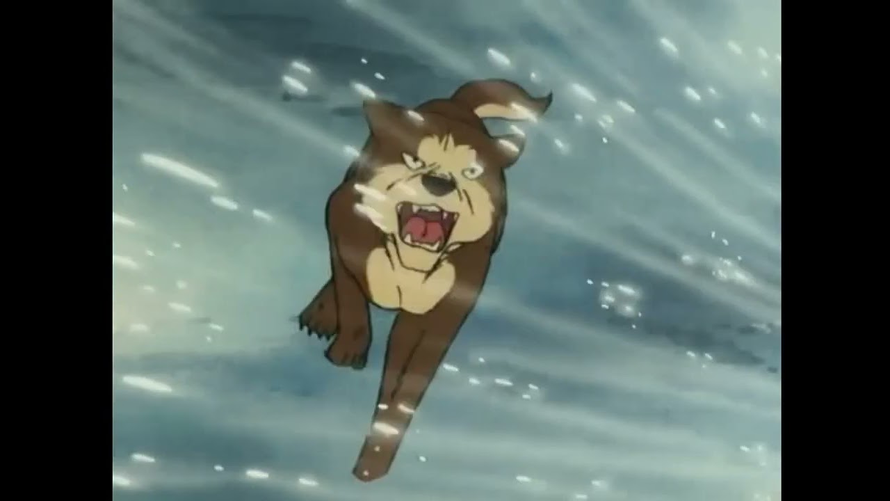 [銀牙流れ星銀]    闘犬魂