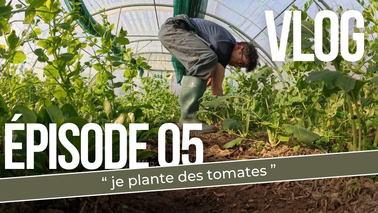 Voyager en Travaillant : J’Aide en Échange du Gîte et du Couvert (Épisode 5)