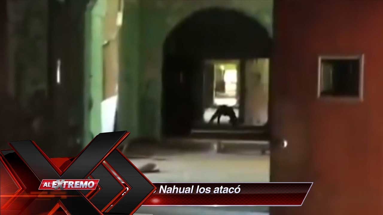 &iexcl;Nahuales! &iexcl;Seres del inframundo en la tierra!  | Al Extremo