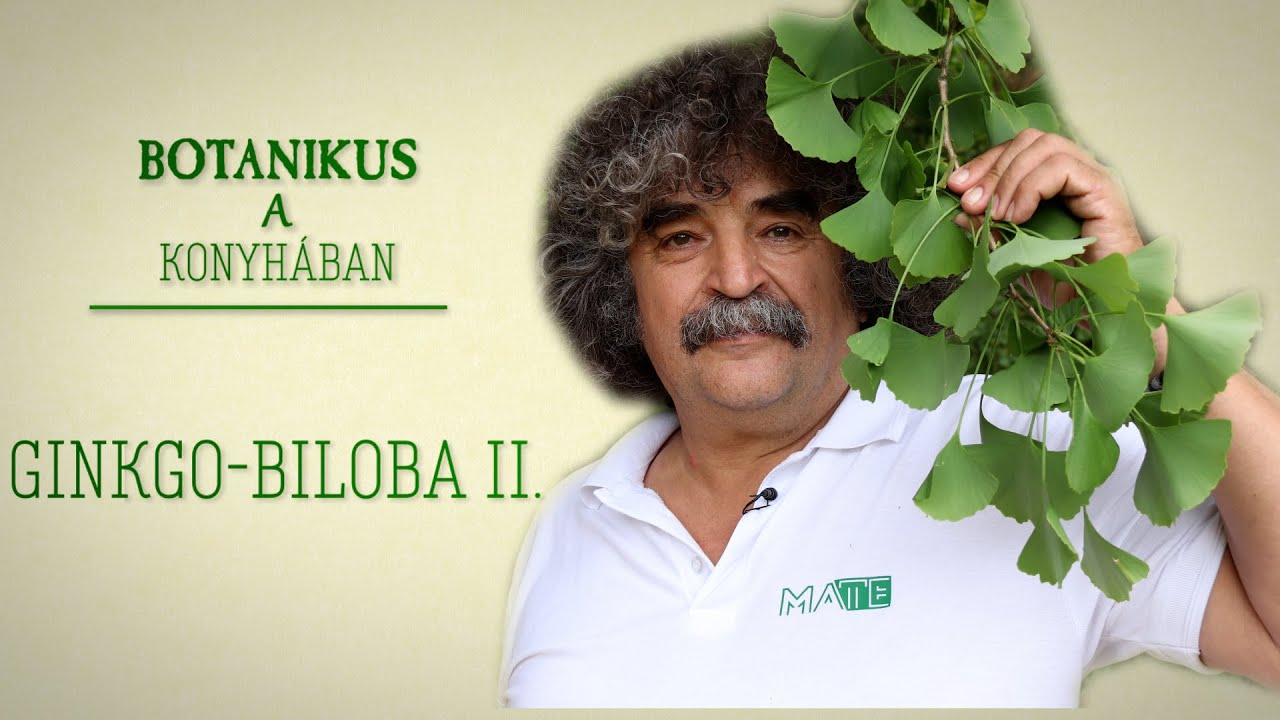 Botanikus a konyh&aacute;ban - 134. A magos p&aacute;fr&aacute;nyfenyő