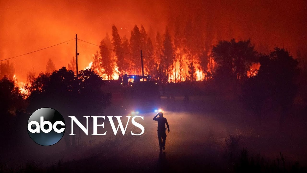 Hot weather, wildfires and swimming : World in Photos, July 22