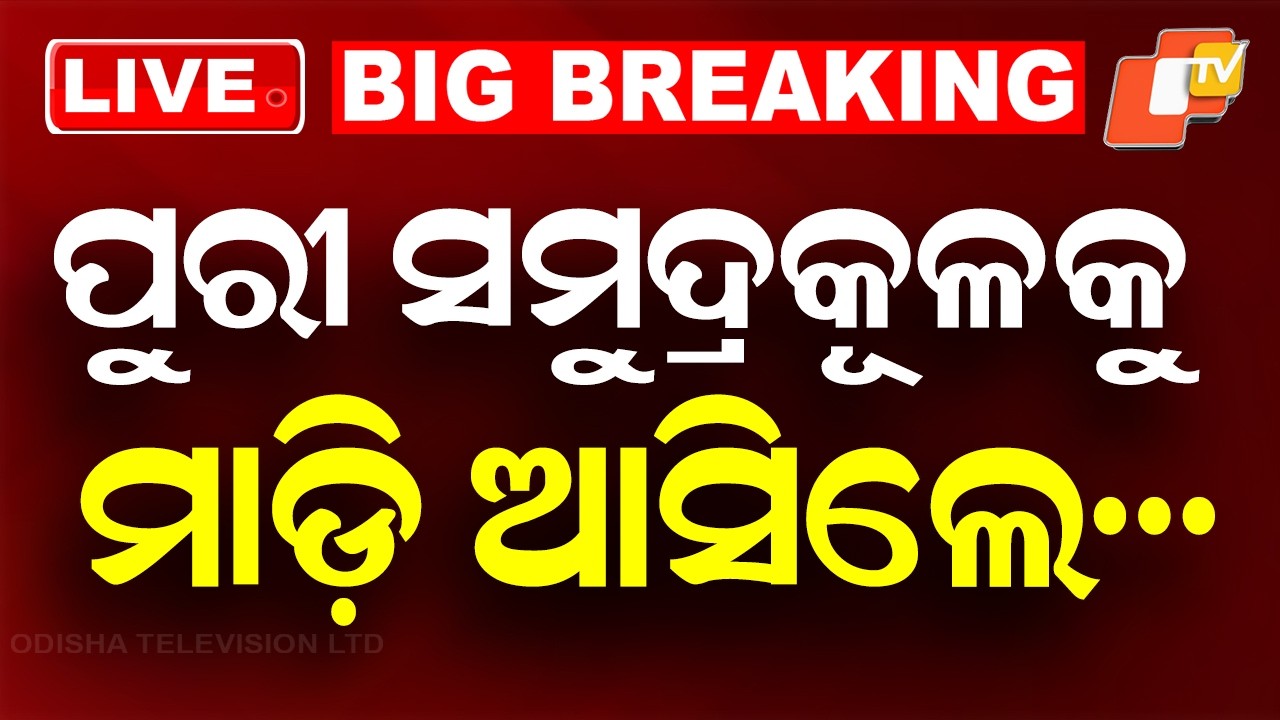 BIG BREAKING | ପୁରୀ ସମୁଦ୍ର କୂଳକୁ ମାଡ଼ିଆସିଲେ | Live Sea Shells Spotted on Sea Beach | Puri News |OTV