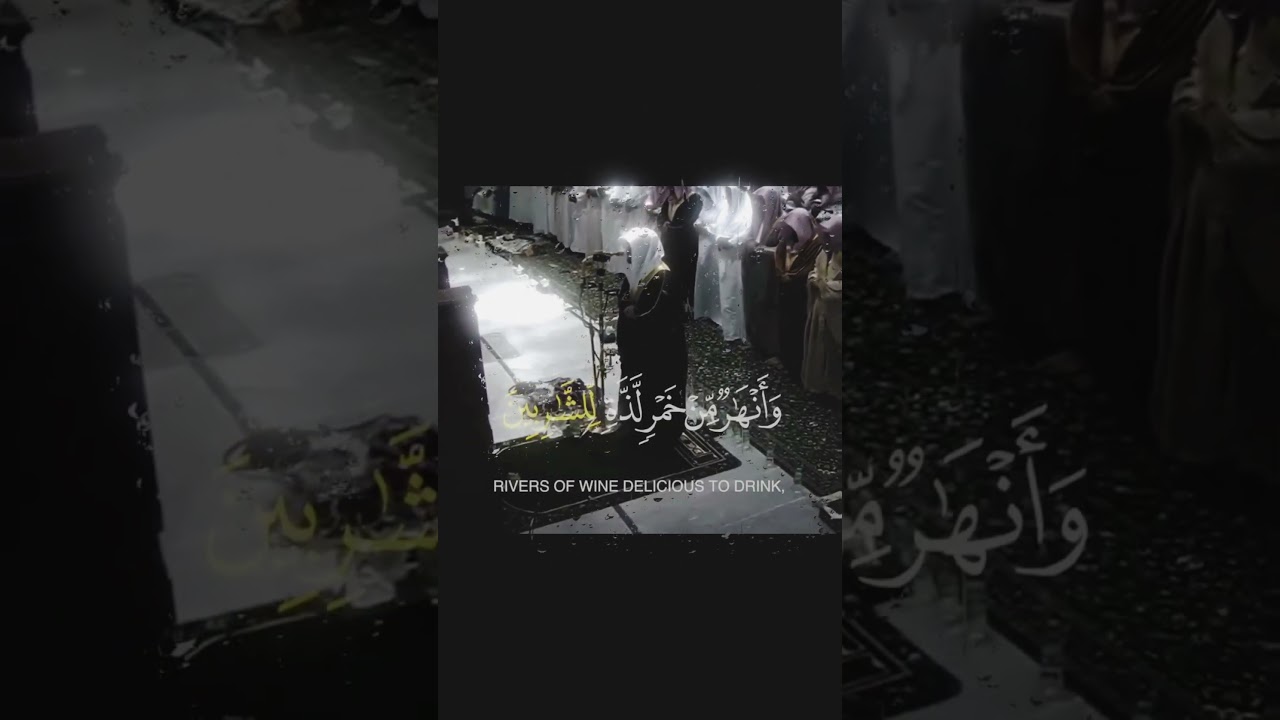 #qurantilawat #quranwala #quranwala #voiceofquran #naturesvoice