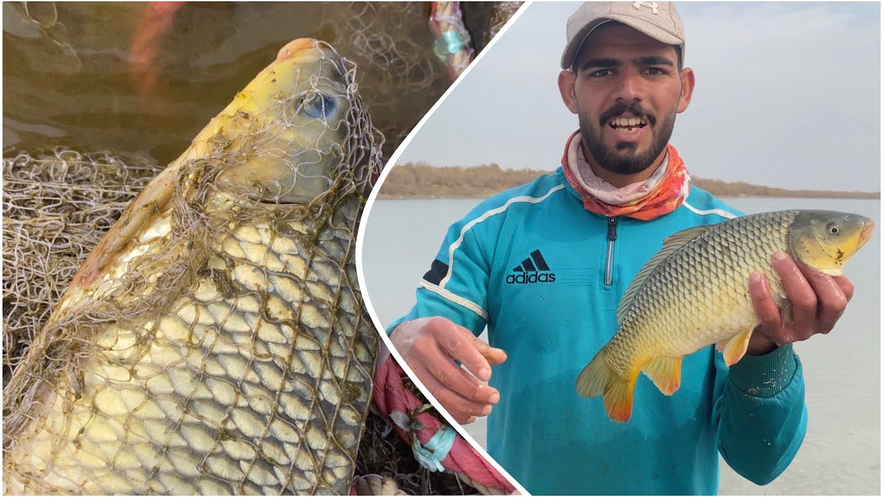 احلى صيد اليوم #رضا #الصياد 