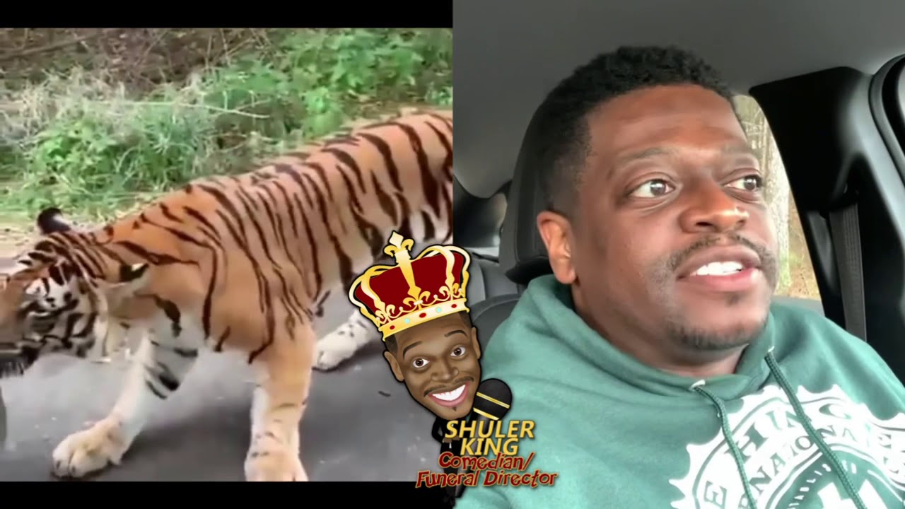 Shuler King - The Tiger Is Towing Cars!!!