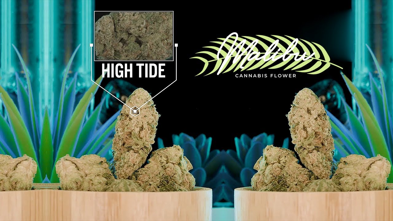 High Tide  - Malibu