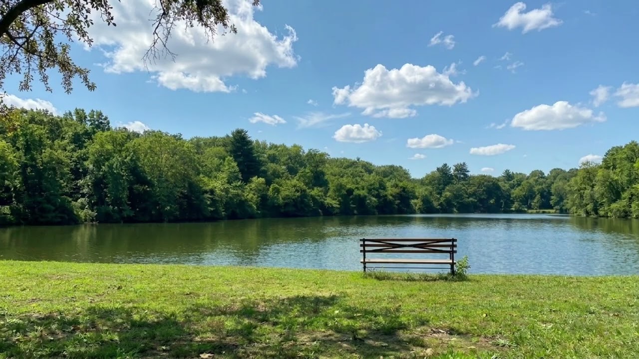 JUST HAVE A SEAT AND RELAX | 4k Cinematic- Background for TV - YouTube 