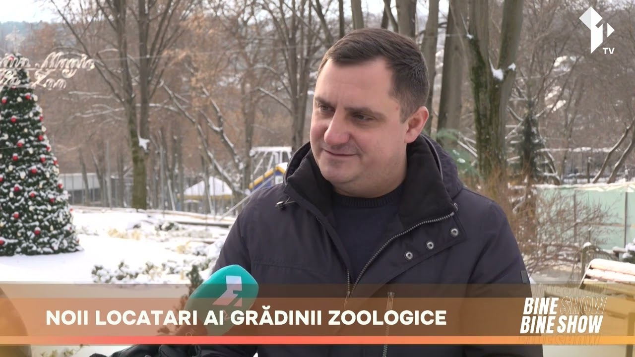 La Grădina Zoologică au apărut noi locatari, mici, pufoși și extrem de curioși