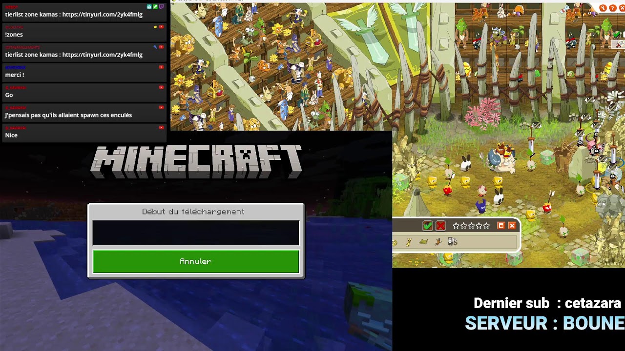 on va pl l'autre sadi pour pvp en sadi brak #DofusRetro