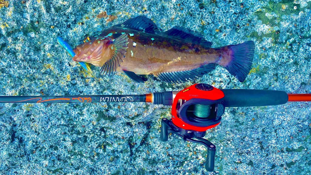 INSANE Jetty Fishing Northern California-Humboldt County Fishing