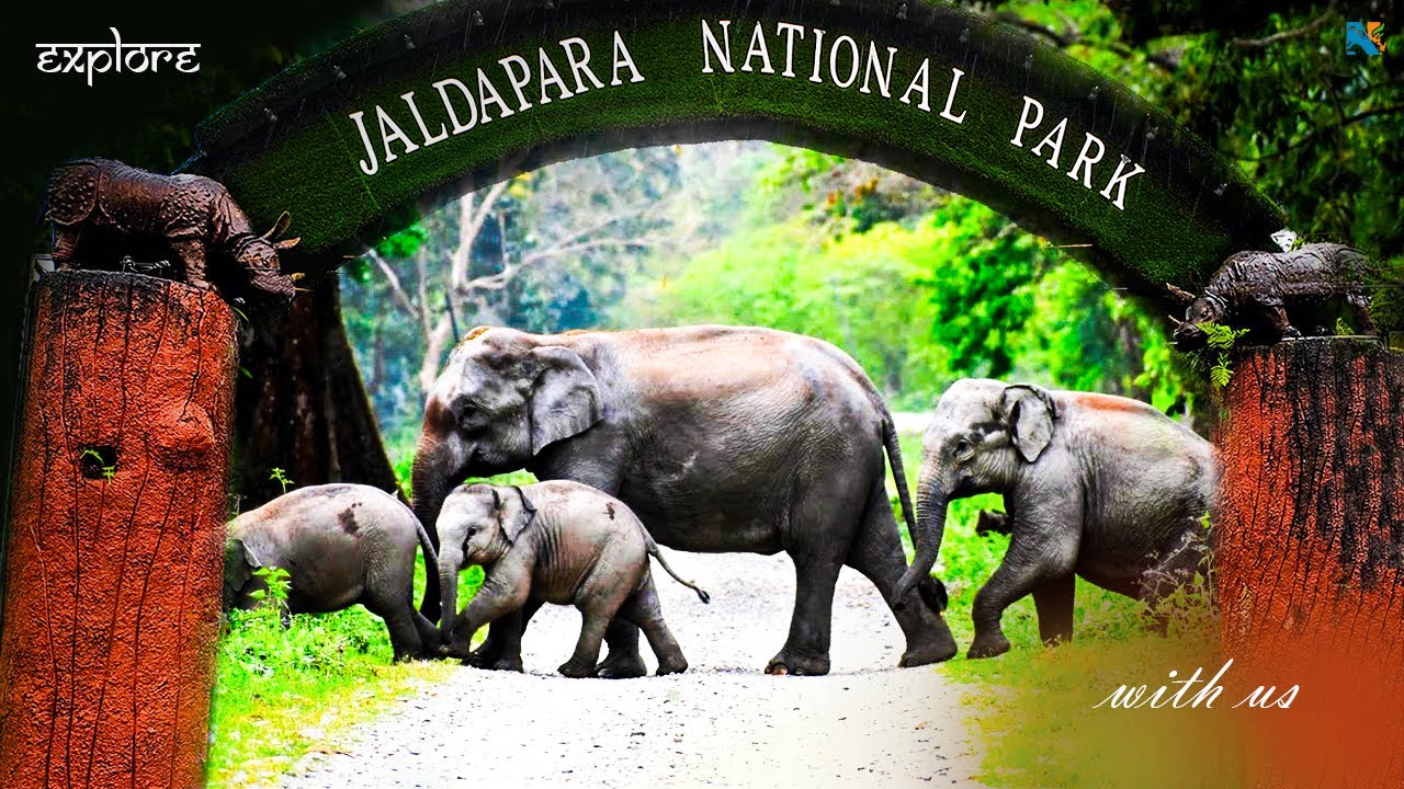 4 Days Dooars Tour | Murti, Suntalekhola, Jaldapara, Bindu, Khayerbari