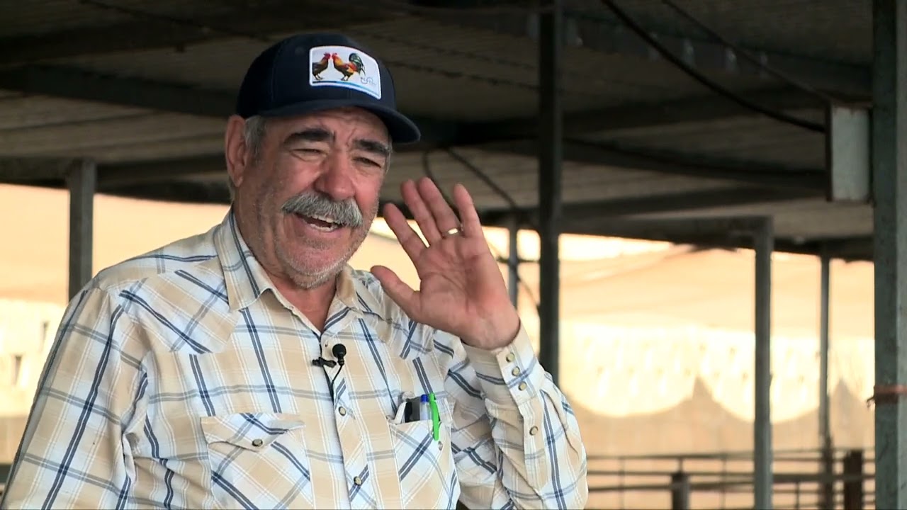 Tradiciones y técnicas modernas en la producción de borregos | La tierra que nos alimenta | 31/07/25