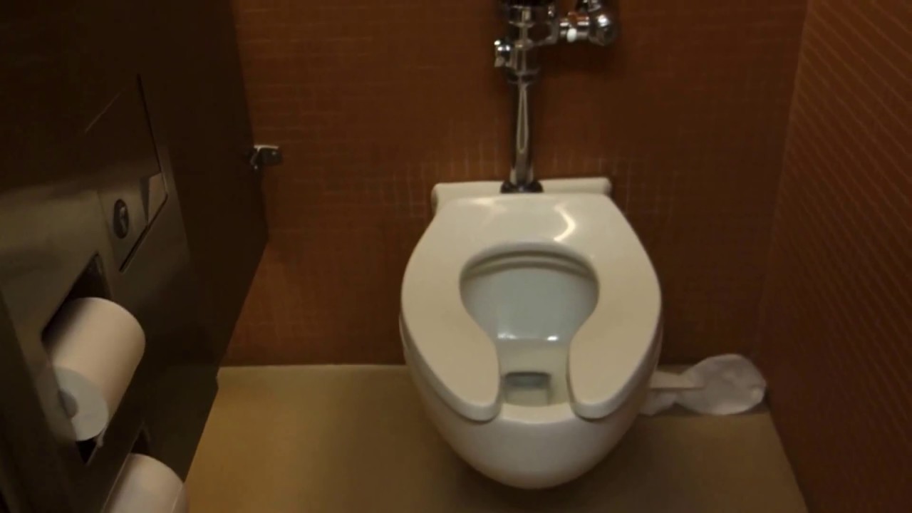 Toilets in the Museum of Science and History Fort Worth