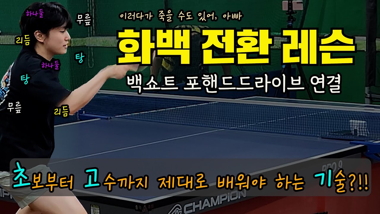 🏓화백 전환 [규칙 불규칙 중요한 포인트 다 있어] 🤑 불규칙 화백 전환 1분 가능할까요?