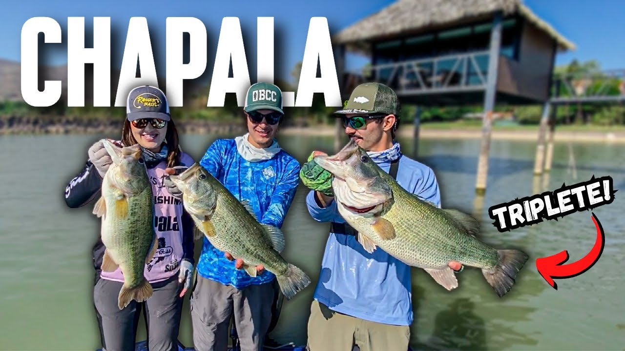 Primera Vez? Dónde y Cómo Pescar en CHAPALA // Pesca de lobina