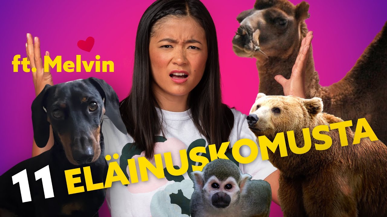 11 ELÄINUSKOMUSTA – Onko KAMELIN KYTTYRÖISSÄ VETTÄ?! ft. mäyräkoira Melvin