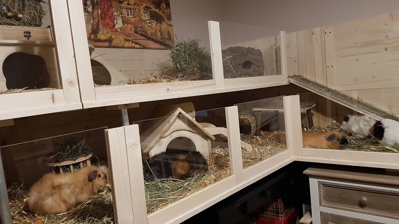Meerschweinchen Gehege neu und grösser 😊