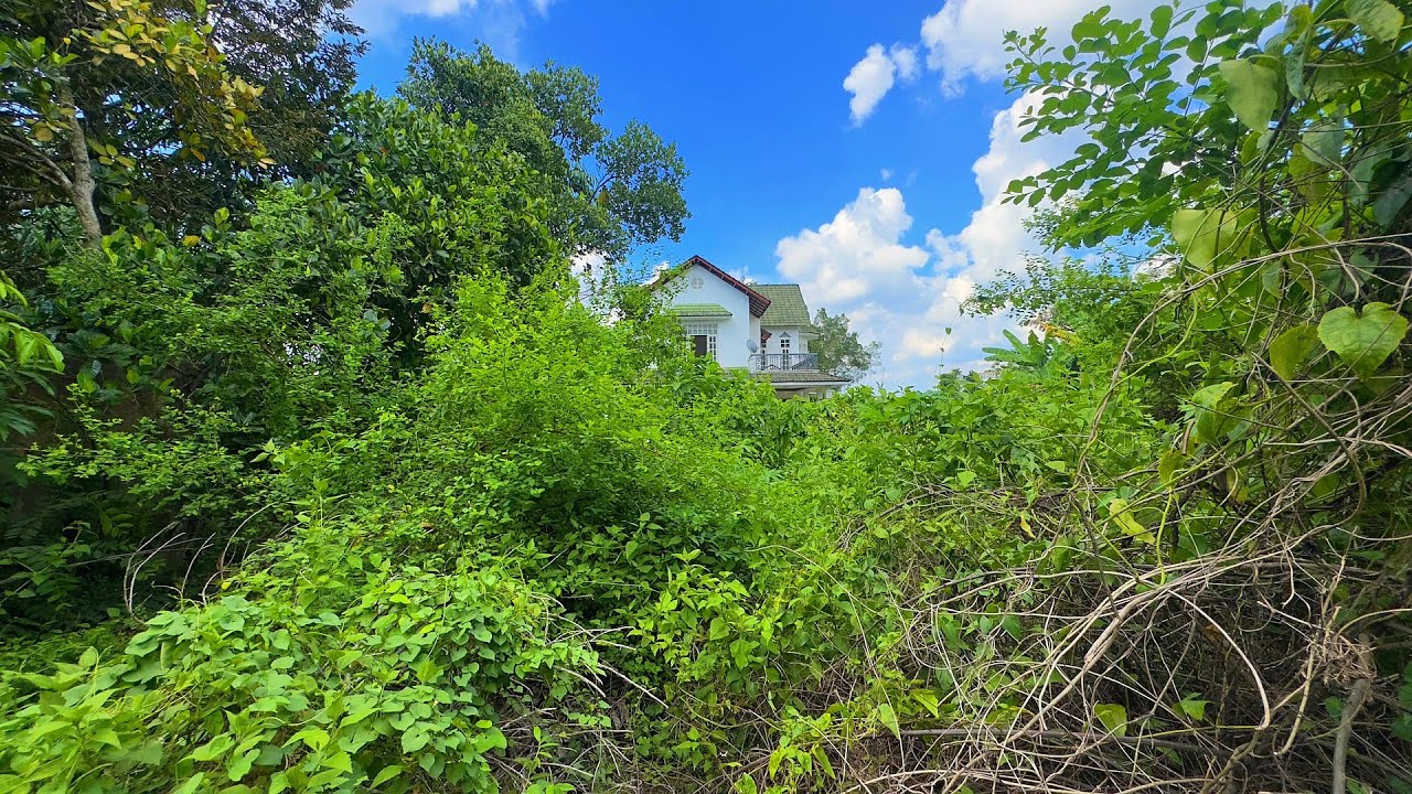 He came back after 3 years – What he saw was terrible - Rapid transformation of abandoned Villa