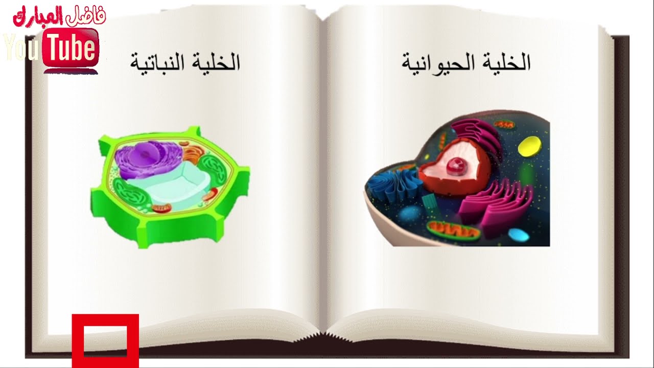 اصنع كتابك الالكتروني التفاعلي بواسطة برنامج البوربوينت وبكل سهولة واحترافية