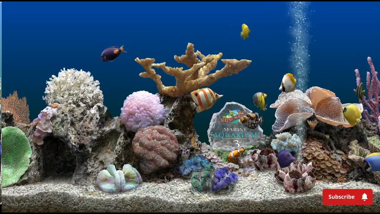 Marine aquarium 3 Soothing sound of water and bubbles Meditation and yoga No music @sitdownandrest