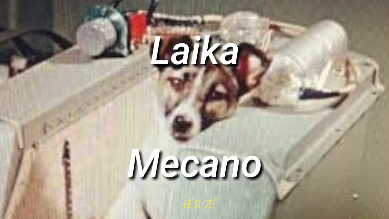 Laika &mdash; Mecano