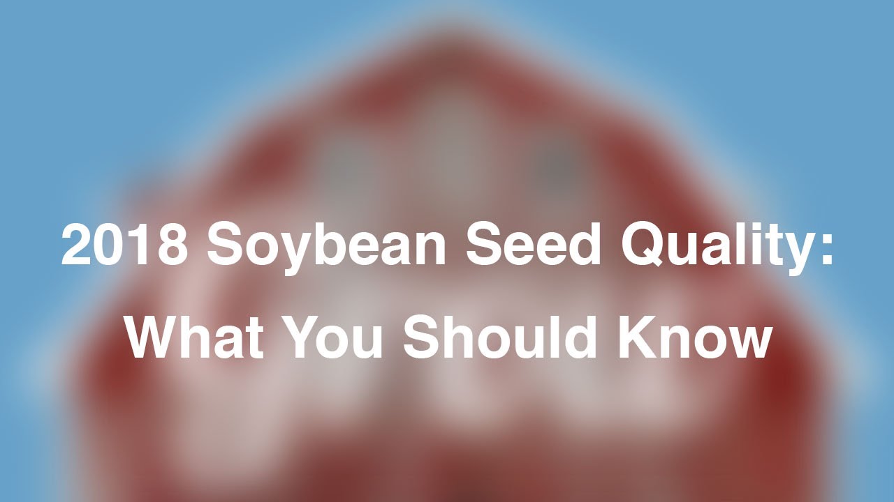 2018 Soybean Seed Quality: What You Should Know