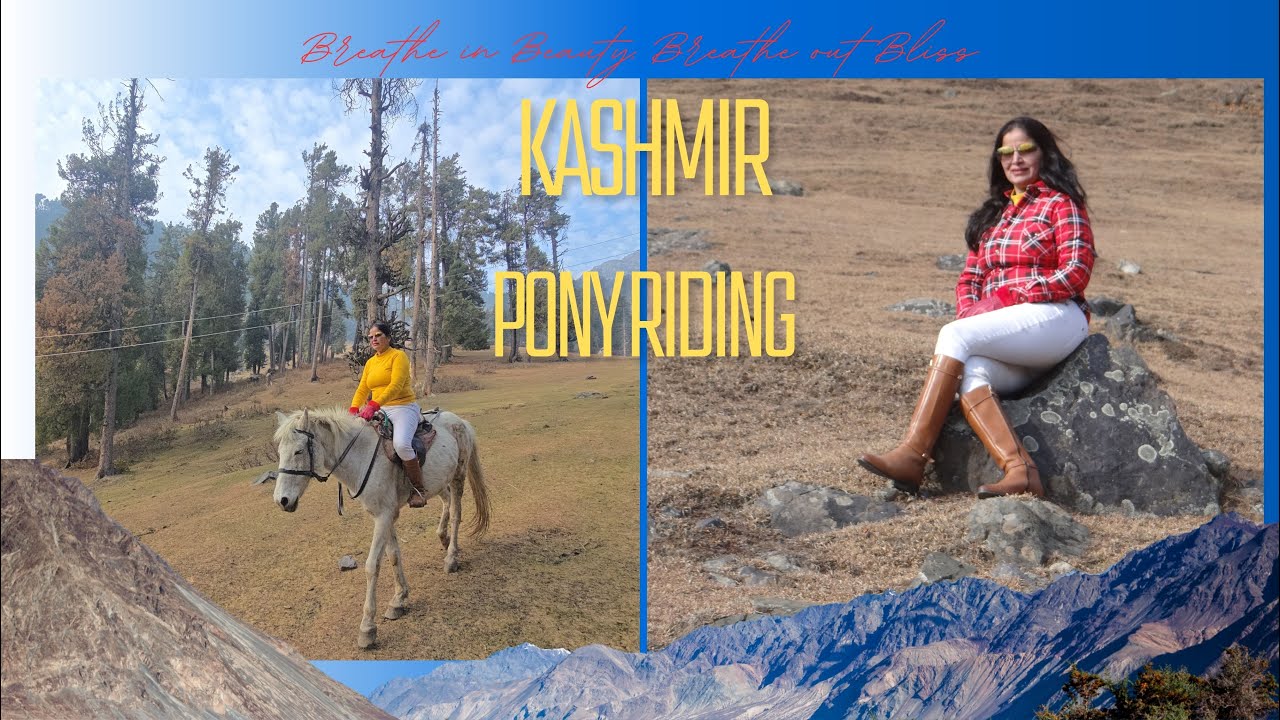 PONY RIDE: A Travelogue of Aru to Kooth Pathri