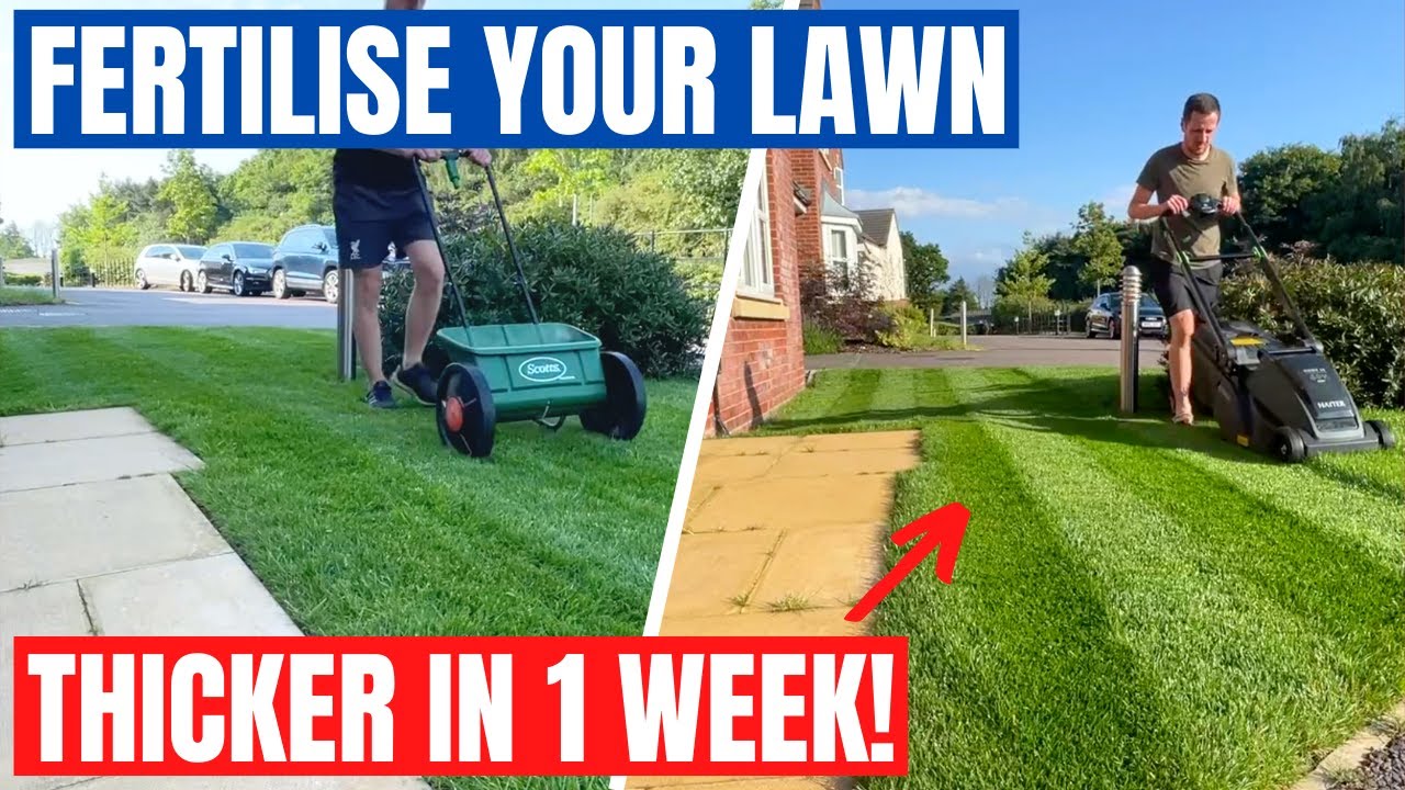 How to THICKEN your LAWN with one SIMPLE step - It's time to FERTILISE!