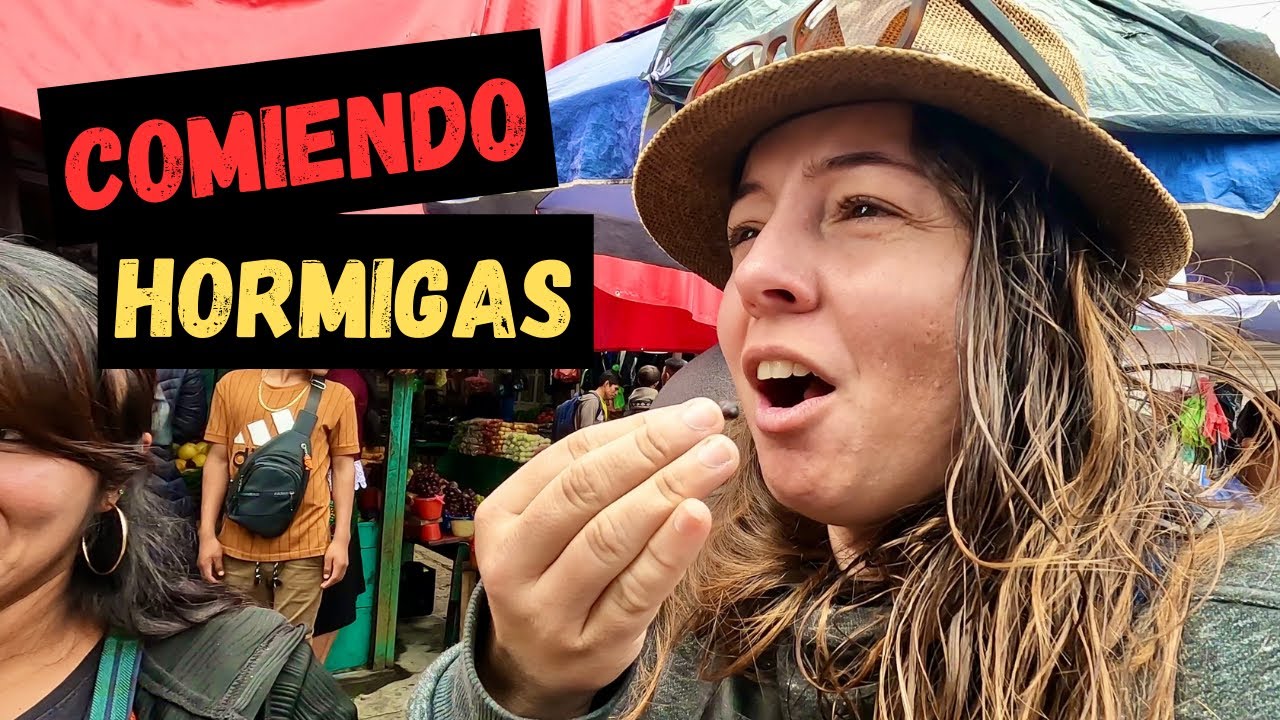 😮¡Comiendo HORMIGAS en Mexico! Mercado en San Cristóbal de las Casas