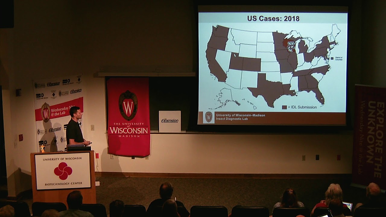 WN@TL - The Buzz Report: The Year So Far in Wisconsin Insects. Patrick Liesch. 2018.08.15