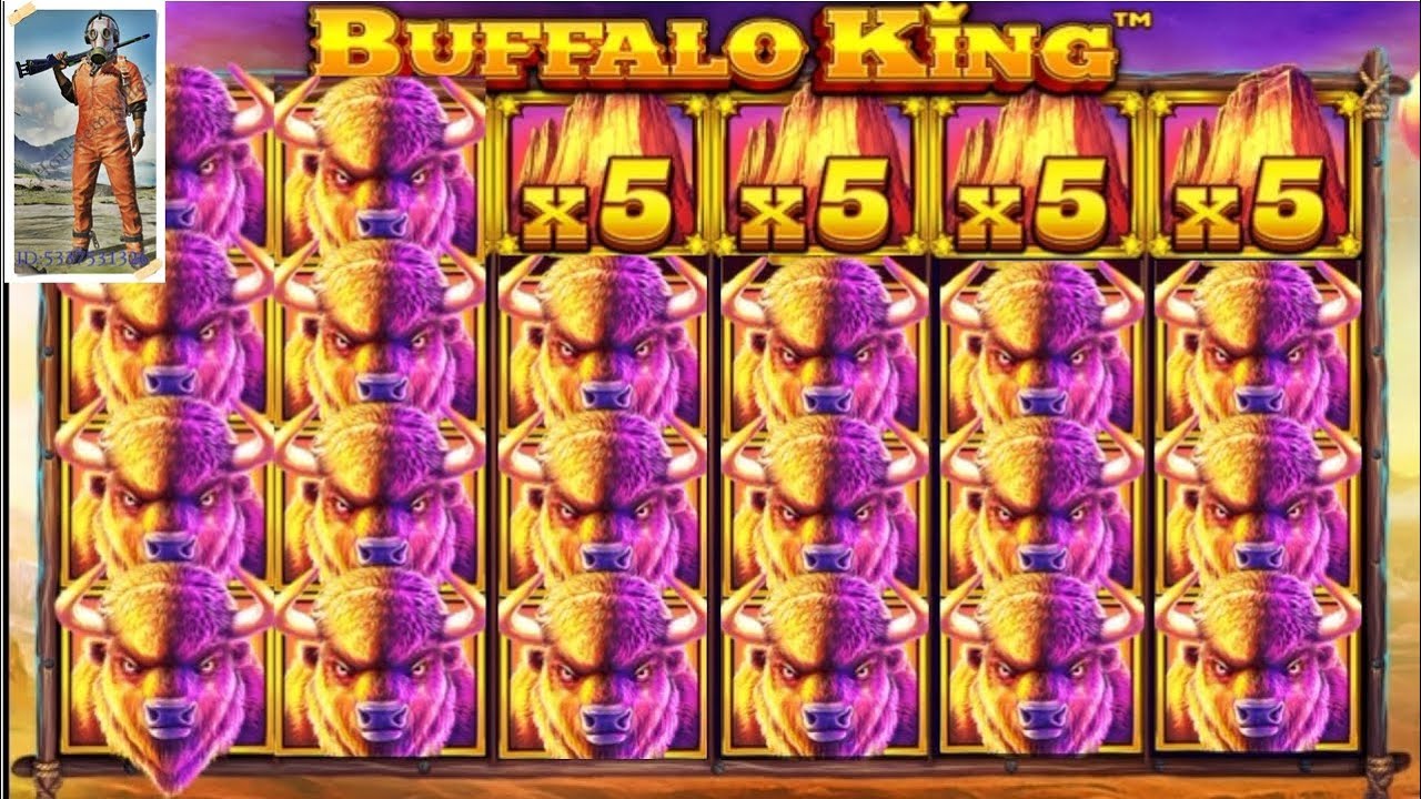 buffalo king bonus * tunbet tunis *