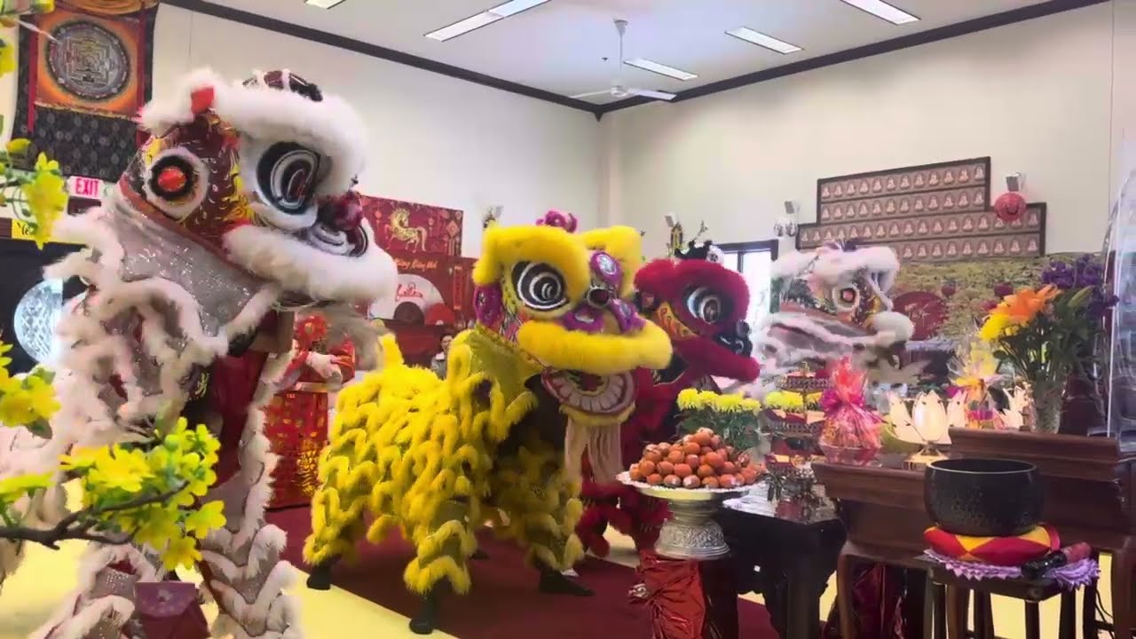 Eternals Lion Dance Chua Linh Son Worcester