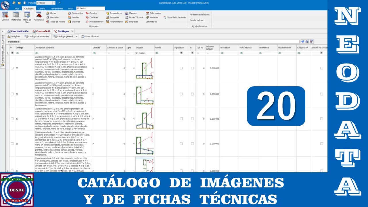 Catálogos de Imágenes y de Fichas Técnicas en Neodata 2021