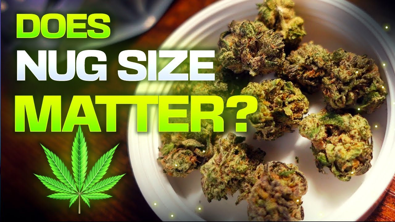 Are Smalls Worth It? (Popcorn Nugs)