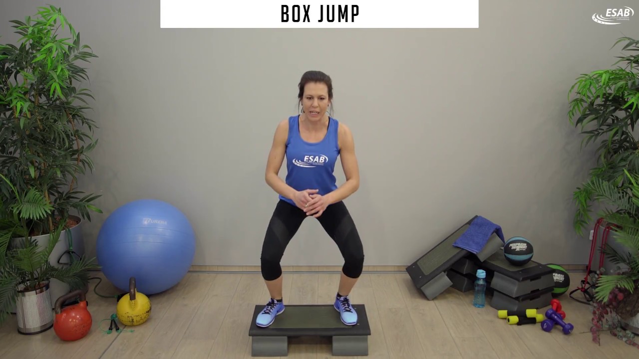 GROUP FITNESS INSTRUCTOR - Step Aerobic - 5 Minuten Tutorial