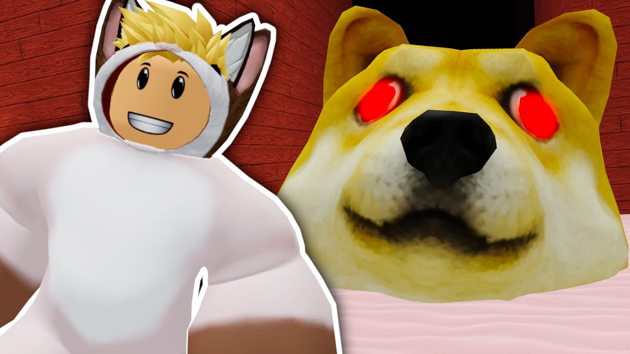 GONOSZ CICALOPÓ DOGE!