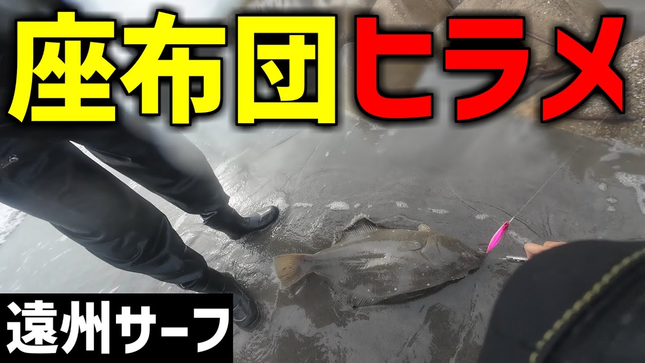 11月の遠州灘で座布団ヒラメが釣れました。【遠州灘サーフ】